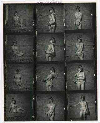 Vintage Bunny Yeager 8 " X10 " Contact Sheet Photograph Shy Brunette Bikini Model