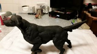Antique Cast Iron Pointer Setter Hunting Dog
