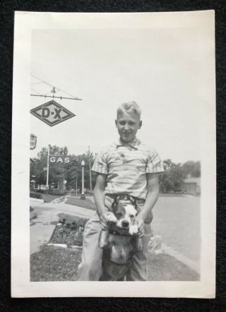 Vintage B&w Snapshot Photo Pit Bull Terrier Dog Dx Gas Service Station