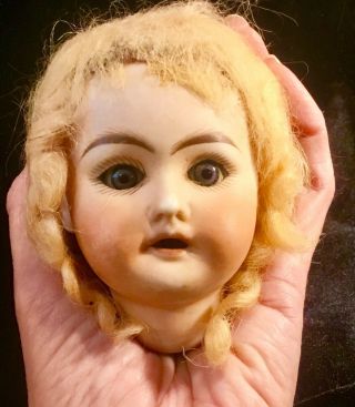 Antique German Bisque Doll Head Kley & Hahn K H 500/5 Closing Eyes And Wig