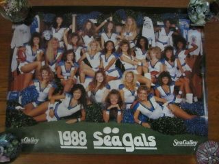Vintage 1988 Seattle Seahawks Cheerleaders Seagals Poster 16x22