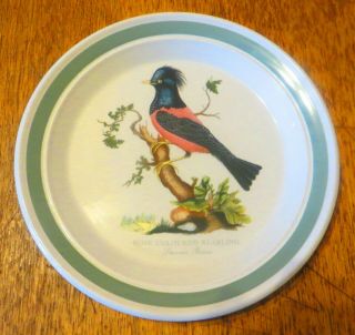 Vintage Portmeirion Birds Of Britain 21cm Salad Plate - Rose Coloured Starling