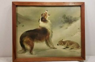 Vintage Glass Framed Found Collie Dog Lamb Sheep In The Snow Art Print