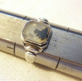 Antique 1920s Sterling Silver Dendritic Moss Agate Finger Ring 5 1/2