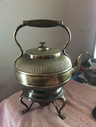 Antique 1850s Mh & Co Tea Pot Silver Plate With Claw Foot Stand 5729