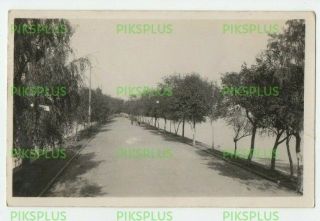 Chinese Postcard Lakeside Road Peking / Beijing? China Real Photo Vintage 1920s