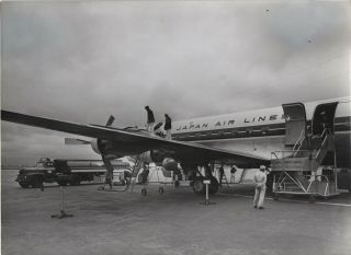 Lrge Vintage Photo - Jal Japan Air Lines Dc - 6b At Sao Paulo