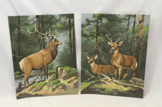 Vintage Paint By Number Elk Deer 12 " X 16 " Complete Mid Century Art 1960 