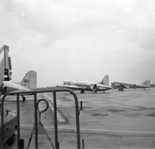 Tradair,  Vickers Viking,  G - Ajfr,  In 1950s,  Large Size Negative