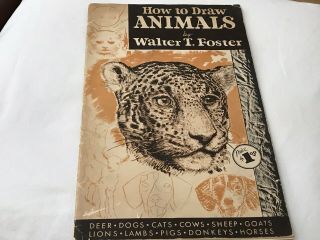Vintage How To Draw Animals By Walter T.  Foster
