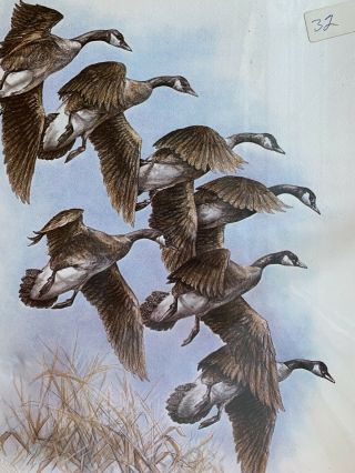 Vintage Doug Lindstrand Signed/sealed 1981 Limited Edition Flock Of Geese Sketch