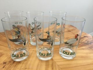 Set Of 6 Vintage Ned Smith Drinking Glasses - Ducks Unlimited