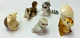 6 Vintage Miniature Shadow Box Animal Figurines,  Turtle Owl Chipmunk Raccoon