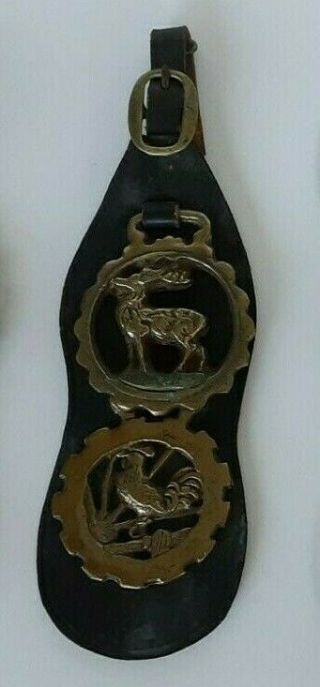 Vintage Decorative Black Leather Strap For Horse With 2 Brass Medallions