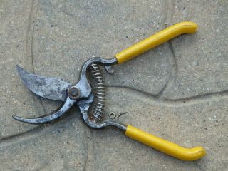 Vintage Corona 60 Or 80 Pruner Shears Snip Cutters Yellow Handle Made In Usa