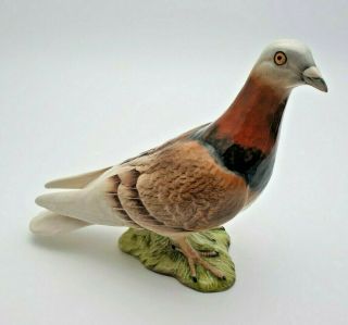 Vintage Beswick Pigeon 1 Gloss Model 1383 - Perfect