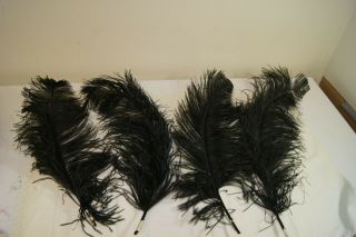 4pc Black Vintage Natural Ostrich Feathers Hats Wedding Party Xmas 16 - 22 "