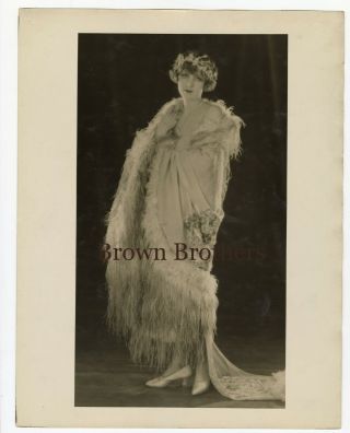 Vintage 1920s Hollywood Claire Windsor Oversized Dbw Photo By Edwin Bower Hesser