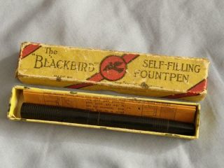 Vintage English Boxed The Blackbird Fountain Pen By Mabie Todd & Co Gold Nib.