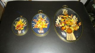 Vintage Set Oval Framed Dried Flowers=wall Art= Glass Hanging Plaque= Belgium=