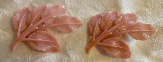 Vintage Brooch - 2 Large Pink Celluloid Leaf Brooches - Very Cool