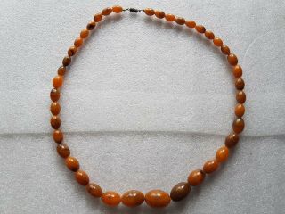 Large Vintage Butterscotch Amber Bakelite 30 Inch Bead Necklace