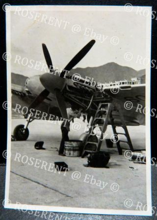 1952 Hong Kong - The First Dh Hornet F3 Wb909 At Kai Tak - Photo 9 By 6cm