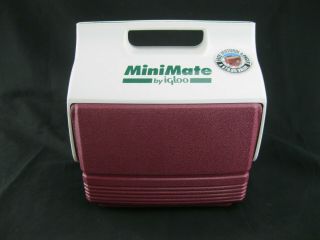 Vintage 90 ' s Igloo MiniMate Cooler Button Ice Chest Lunch Box Maroon Green 2