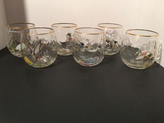 Set Of 6 Vintage Ned Smith Water Fowl Ducks Low Ball Gold Rimmed Glasses