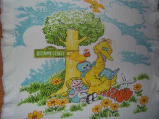 Vintage Sesame Street Big Bird Reading Thermal Waffle Weave Baby Blanket Satin 2
