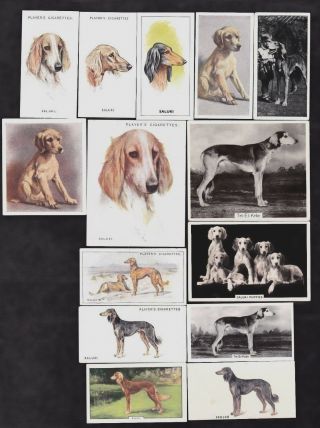 14 Different Vintage Saluki Tobacco/cigarette Dog Cards