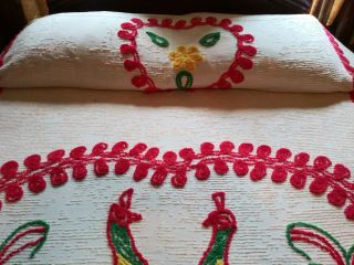 Double Peacock White Vintage Chenille Bedspread 3