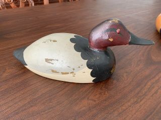 Tom Taber Wooden Red Head Canvasback Carved Duck Decoy
