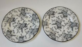 Vintage Wood And Sons Fine Tableware Black Roses Decorative Plates (2)