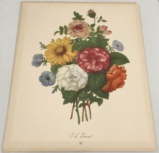 Set Of 2 - Vintage Flower Floral Lithograph Art Print Jean Louis Prevost