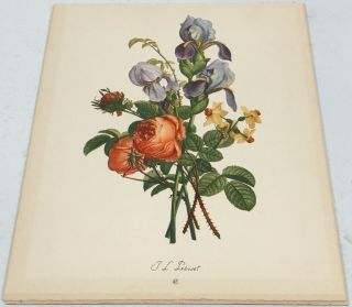 Set of 2 - Vintage Flower Floral Lithograph Art Print Jean Louis Prevost 3