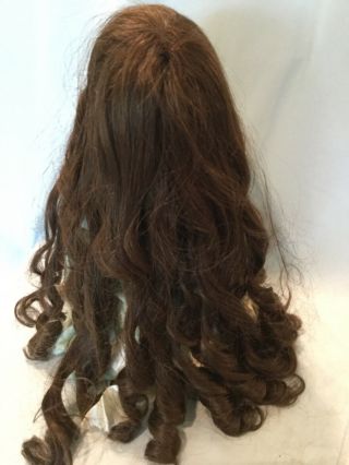 Very Long Human Hair Dark Brown Doll Wig 14”