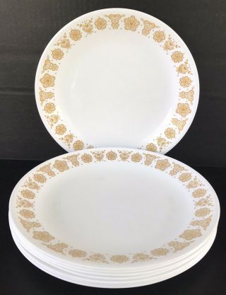 Vintage Corelle Butterfly Gold Dinner Plates 10 1/4 " Set Of 8 By Corning