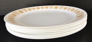 Vintage Corelle Butterfly Gold Dinner Plates 10 1/4 