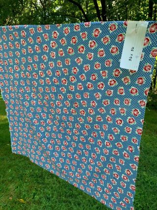 Vintage Feedsack Fabric Small Blue Pattern With Red & Pink Flowers 36 X 36