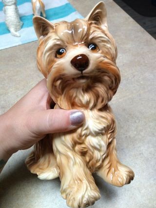Vintage Hand Painted Ceramic 7 " Yorkshire Terrier Dog Figurine Statue