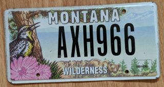 Montana Wilderness License Plate Bird Environmental