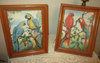 Vtg Pair Paint By Number Parrots Birds Retro Mid Century 50 