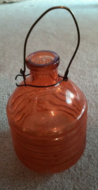 Vintage Glass Fly Wasp Bee Hive Style Trap W/raised Image Of Bee Wasp