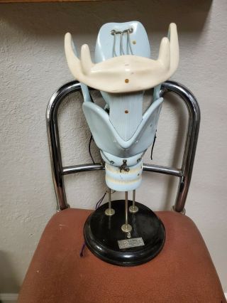 Vintage Clay Adams Throat Model Made In Japan
