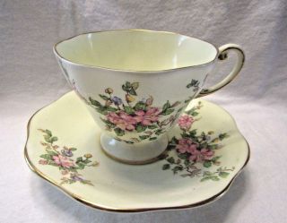 Eb Foley Bone China Cup And Saucer Pink Wild Roses Gold Trim Vintage