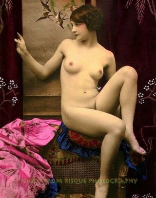 Vintage Nude Woman Sitting 8.  5x11 " Photo Print Naked Female Color Postcard Image