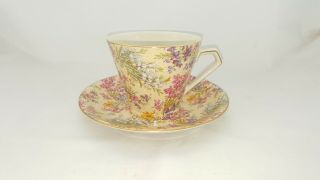 Vintage Lord Nelson Ware Teacup & Saucer 2750