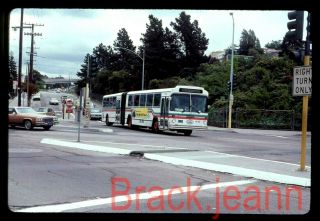 Ac Transit (ca) Bus Slide 1610 Taken 1988