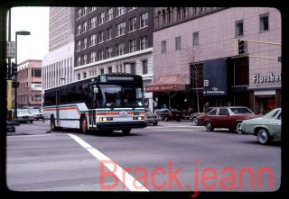 Ac Transit (ca) Bus Slide 1204 Taken 1983